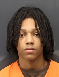 Mugshot of WILLIAM PETERS