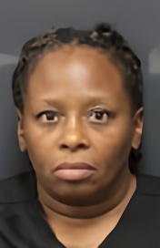 Mugshot of ELIZABETH MARIE STREET