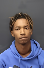 Mugshot of TERRENCE KEYTON ANDERSON