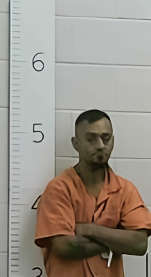 Mugshot of BRYAN D PORCHE