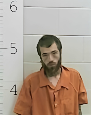 Mugshot of BRAD M SYLVESTER