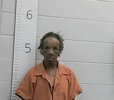Mugshot of PATIN WILBERT
