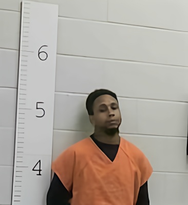 Mugshot of CL J ARVIE