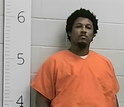Mugshot of MARK SKINNER
