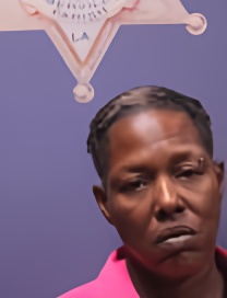 Mugshot of MICHELLE BESS
