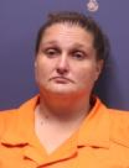 Mugshot of DANIELLE WILKERSON