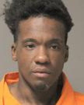 Mugshot of DOMINIC M RANSOM
