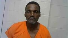 Mugshot of ERROL M LEVI