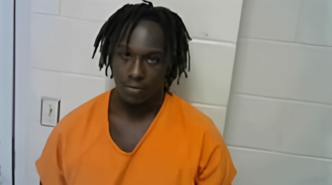 Mugshot of DESHAWNTAVION T TIBBS