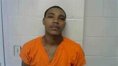 Mugshot of MARCELLE K LYONS