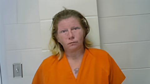 Mugshot of DESTINEY L HANLEY