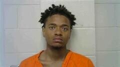 Mugshot of LATAVIAN D PATTUM