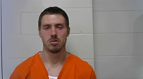 Mugshot of JORDAN S MCFARLAIN