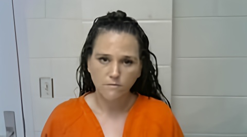 Mugshot of LAUREN M HANKS