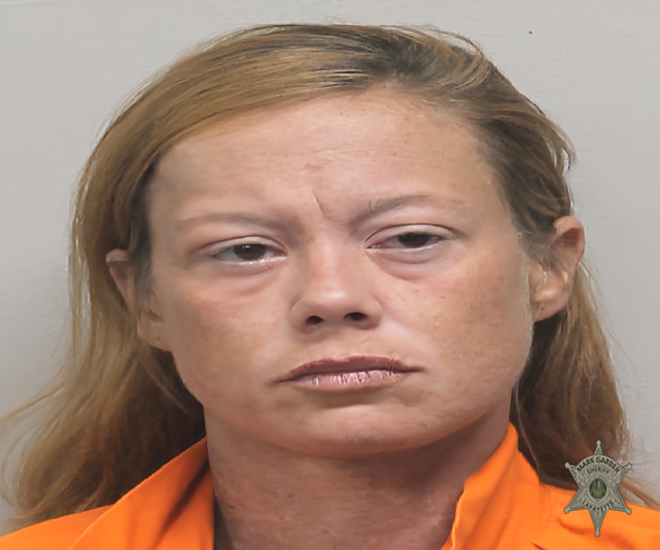 Mugshot of AMBER LYNN PERKINS