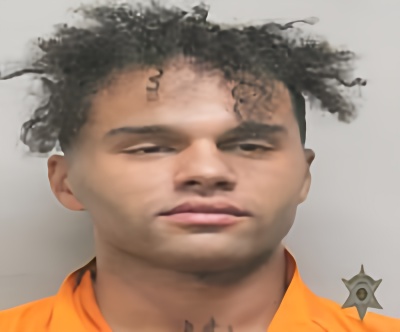 Mugshot of MCKINLEY ALEX LEON
