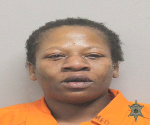 Mugshot of KARON RENEE BURGESS