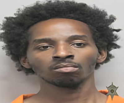 Mugshot of LOUIS TEMPLE