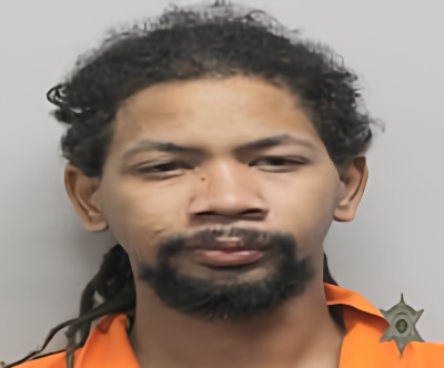 Mugshot of ROBERT STJULIEN