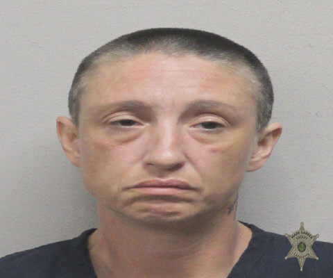 No mugshot available