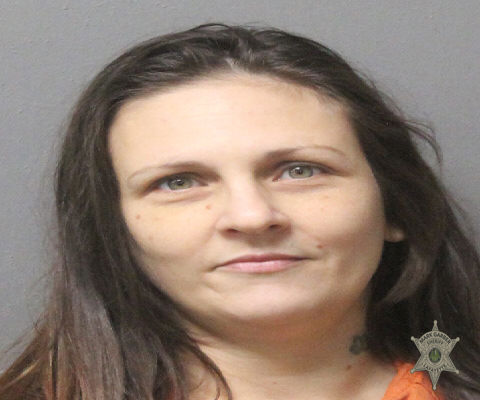 Mugshot of LEIGH ANN POTEET