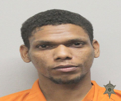 Mugshot of NYJUL HILLEBRANDT