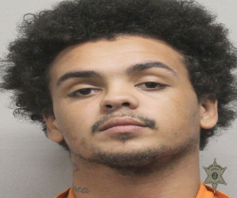 Mugshot of KENDEL MEAUX