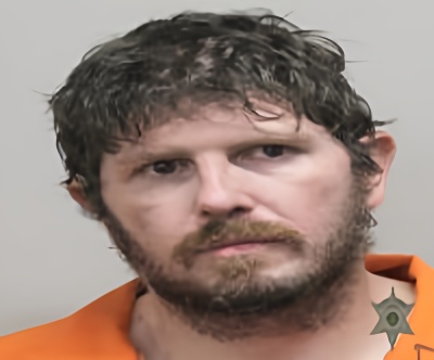 Mugshot of DONALD FORREST GOODMAN