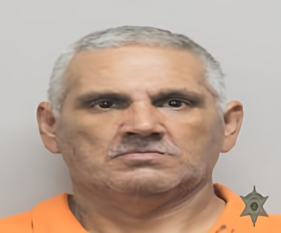 Mugshot of SHANNON ONEAL MENARD