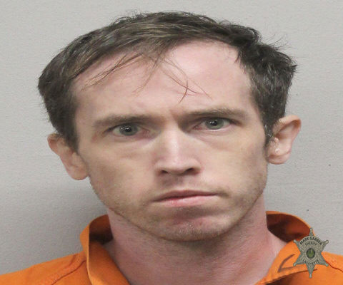 Mugshot of RUTLEDGE H DEAS