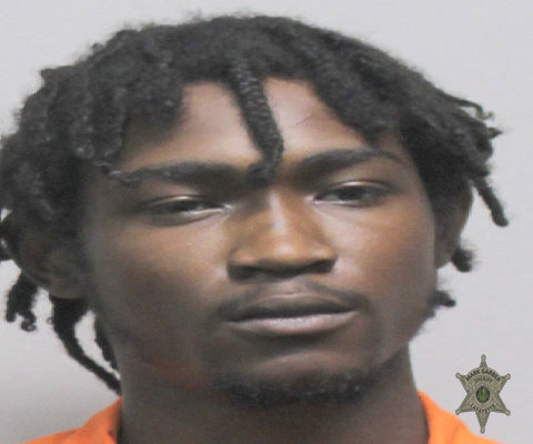 Mugshot of ROLAND LEWIS