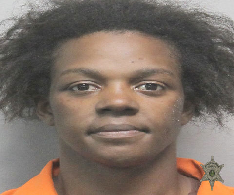Mugshot of LEAH ANDRELL BOB