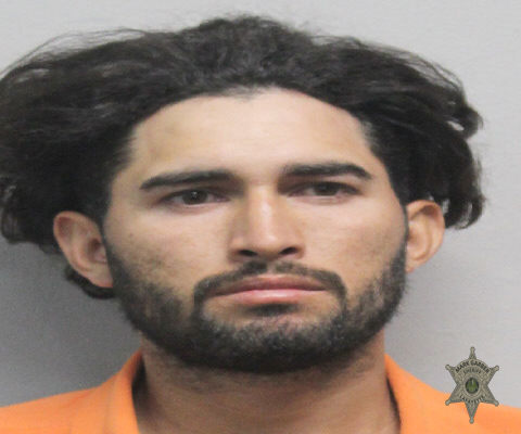 Mugshot of MIGUEL AVILA-FLORES