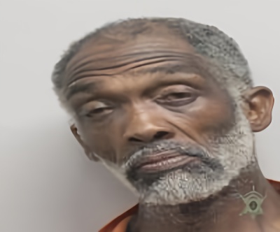 Mugshot of DARRELL JAMES HAMILTON