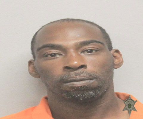 Mugshot of SKYLER JENAE BATISTE