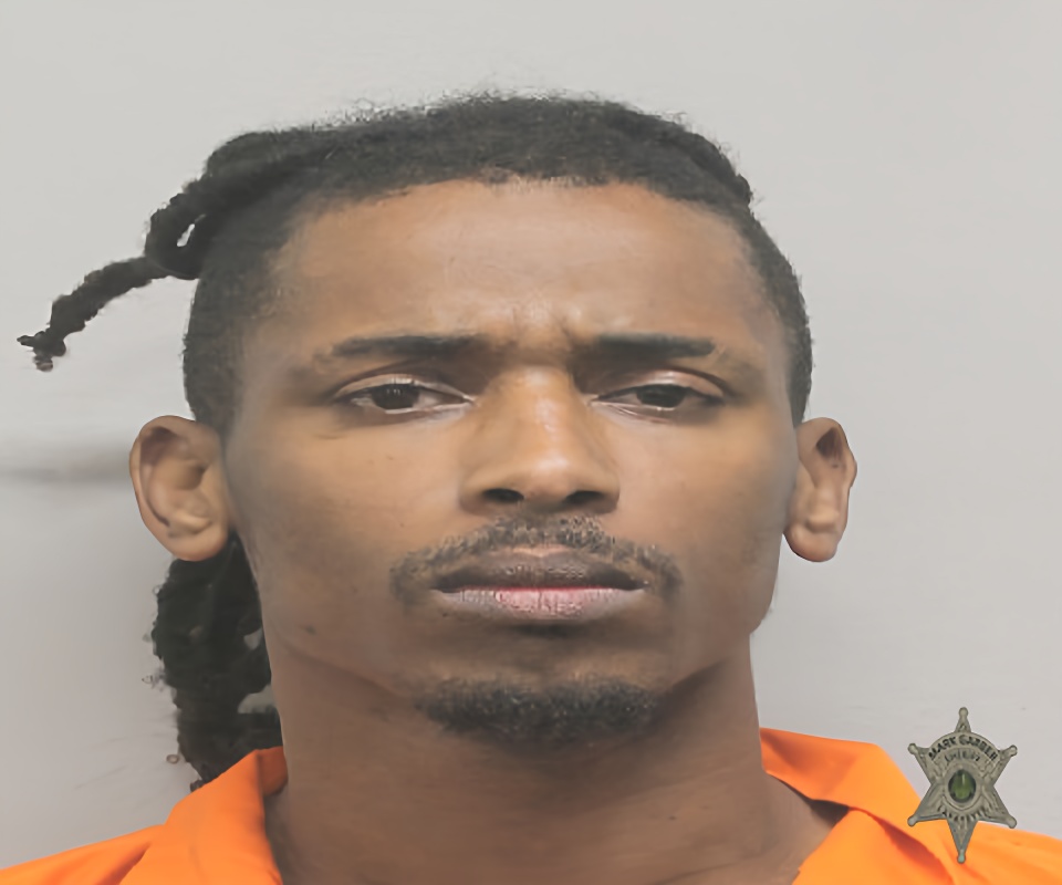 Mugshot of DAVID COLLINS