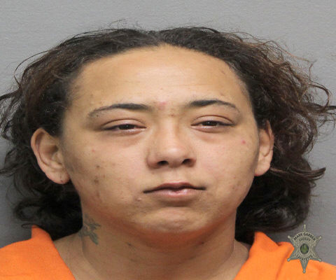 Mugshot of SHELLEY ANN TRAHAN