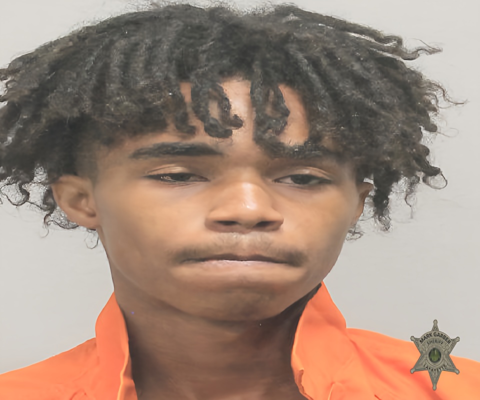 Mugshot of HASTON MALVEAUX
