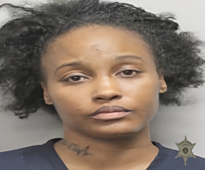 Mugshot of ASHLEY JOHNSON