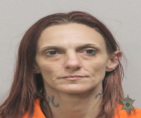 Mugshot of LEEANN NICOLE JONES