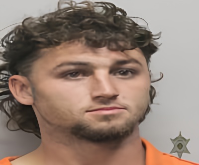 Mugshot of DUSTIN HOLLIER