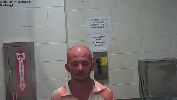 Mugshot of CURTIS RAY DYESS