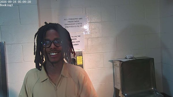Mugshot of DEWAYNE ROSS