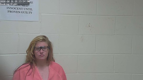 Mugshot of LEXUS RENEE TURNER