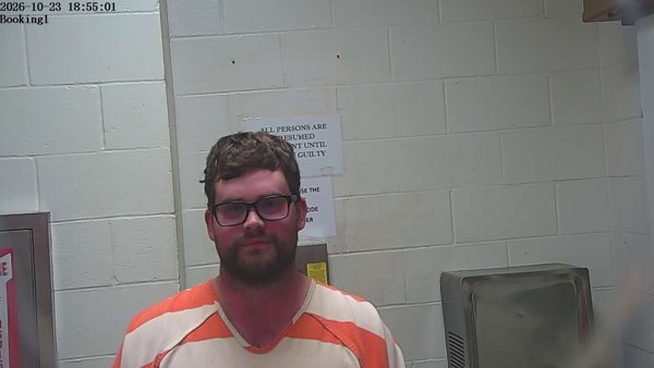 Mugshot of BRENDON ALLEN STEED