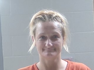 Mugshot of AMANDA BRIDGES