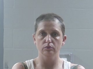 Mugshot of VICTORIA ANN LAYFIELD