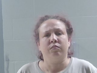 Mugshot of DIANA WALKER