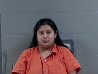 Mugshot of DIANA LOPEZ