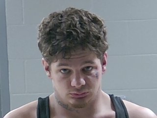 Mugshot of LEWIS LANG
